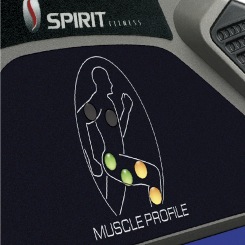Spirit Fitness Fitness Bike - Muscle Activation