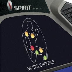 Spirit Fitess e•Glide Trainer - Muscle Activation